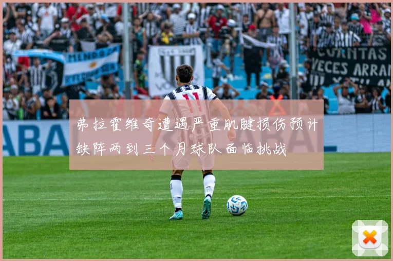 弗拉霍维奇遭遇严重肌腱损伤预计缺阵两到三个月球队面临挑战