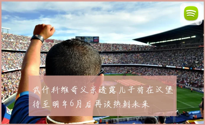 武什科维奇父亲透露儿子将在汉堡待至明年6月后再谈热刺未来